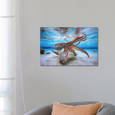 " Dancing Octopus " by Barathieu Gabriel