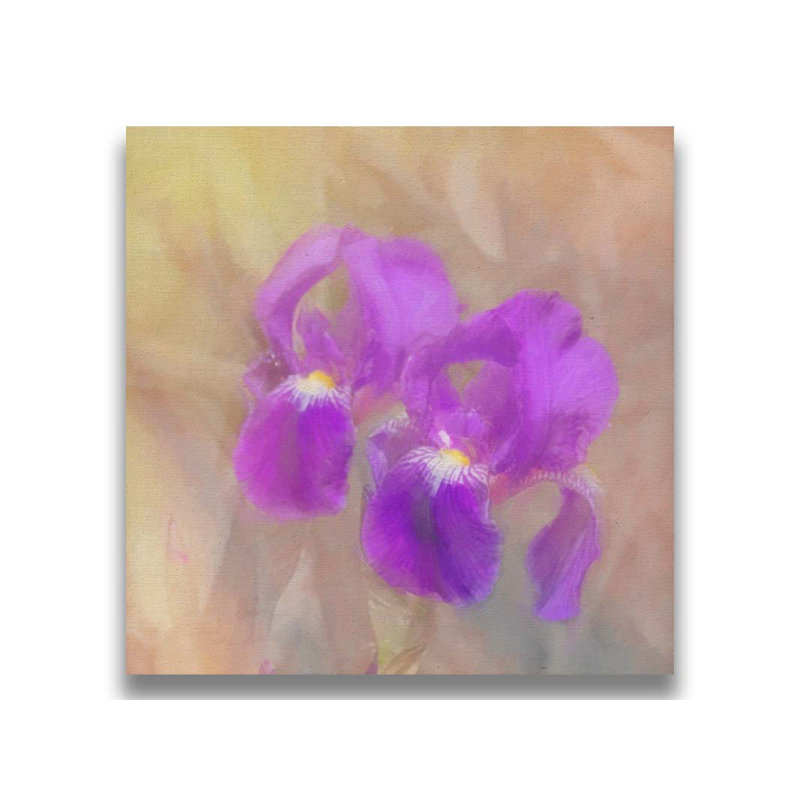 Iris peint par Hal Halli. Estampe numérique, H 30,5 po x l 30,5 po, Impression encadrée sans passe-partout, Blanc