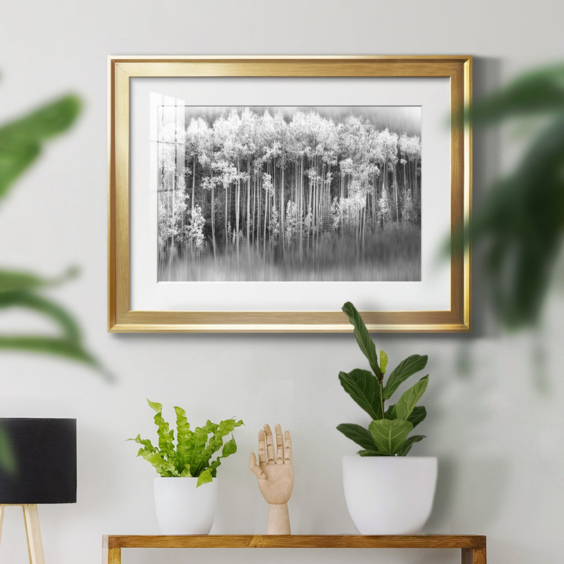 Dreamy Aspen - Photographie avec cadre photo, H 26,5 po x l 36,5 po x P 1,5 po, Or