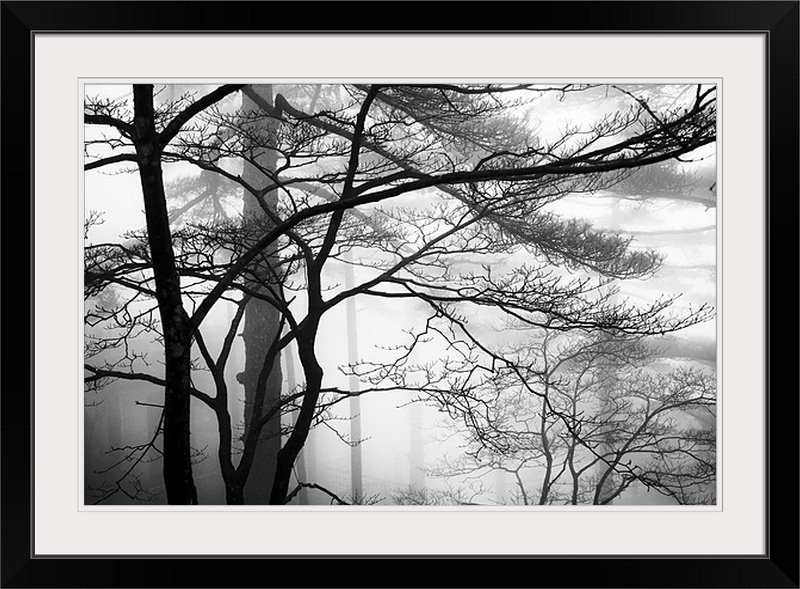 Great Big Canvas " Trees And Fog In The Yellow Mountains " on Wayfair