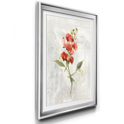 " Linen Sweet Pea " Painting Print