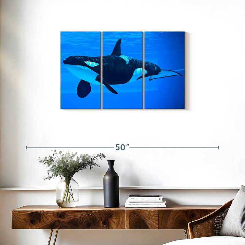 Brampt Friendly Killer Whale, 20" H x 33" W