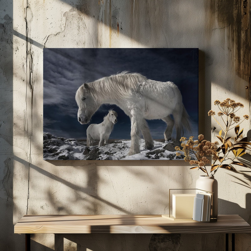 Wrapped Canvas Print, 50.8 cm H x 76.2 cm W