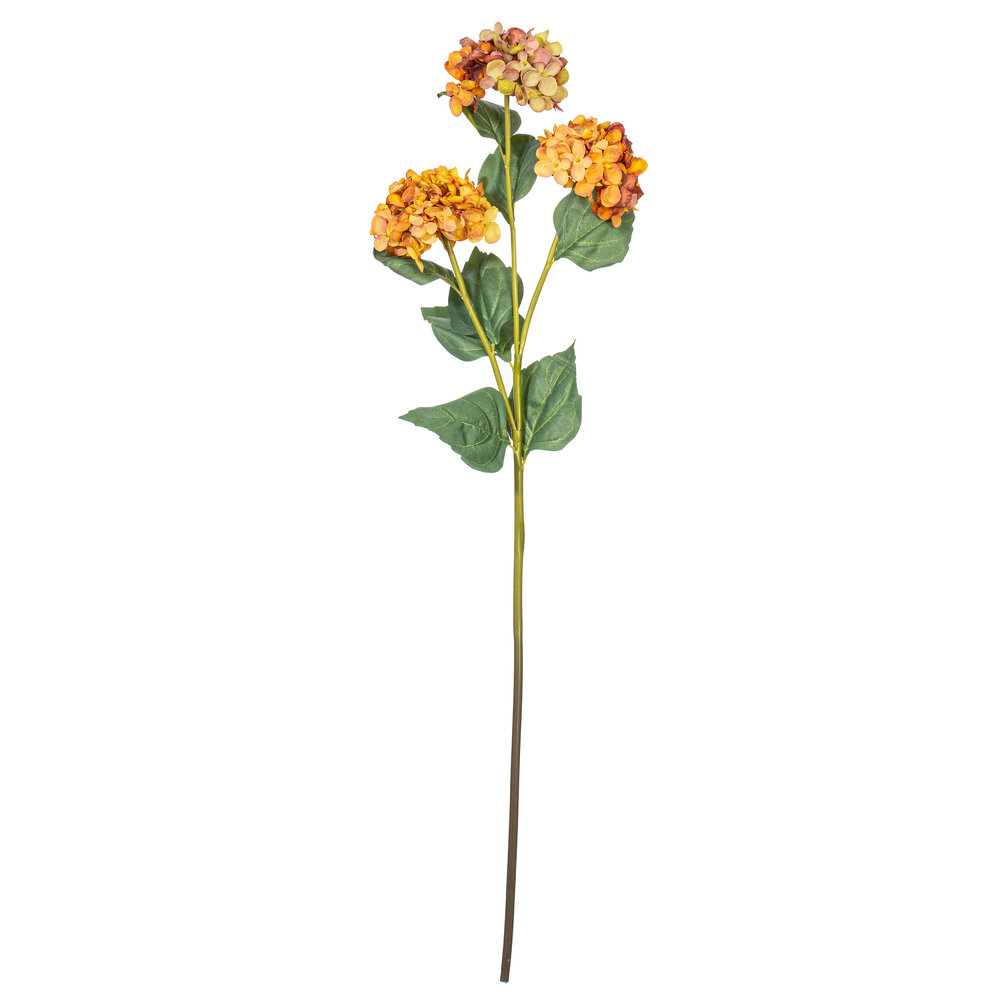 Ranbir Hydrangea Stems, Yellow