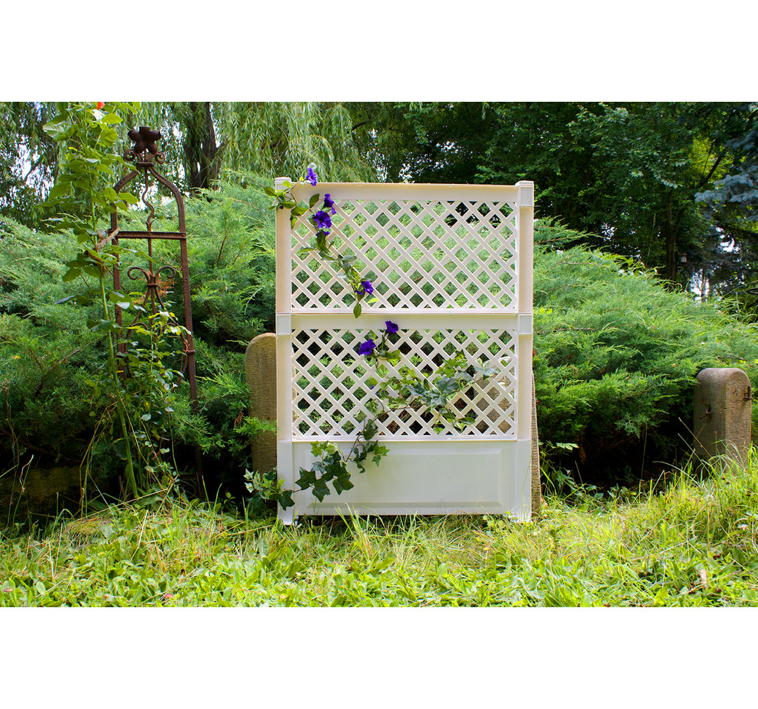 140cm H x 100cm W Plastic Expanding Trellis