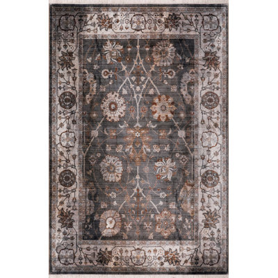 Moab Oriental Indoor Rug