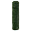 Plant-129932169-129932172