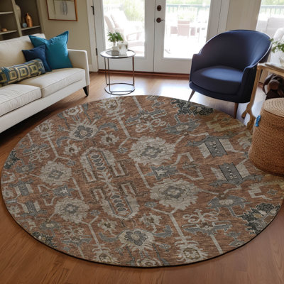 Myda Washable Oriental Indoor / Outdoor Rug