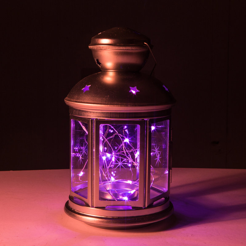 Guirlande de 50 lumières Stoller, Mauve