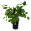 40cm Faux Tree in Pot Liner