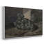 Botanique rétro - XL III-2088248367-2088248403