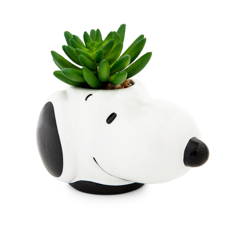 6.1'' Faux Succulent