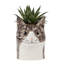 Pencil Pot - Cat - Millie