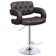Woolery Swivel  Adjustable Height Bar Stool