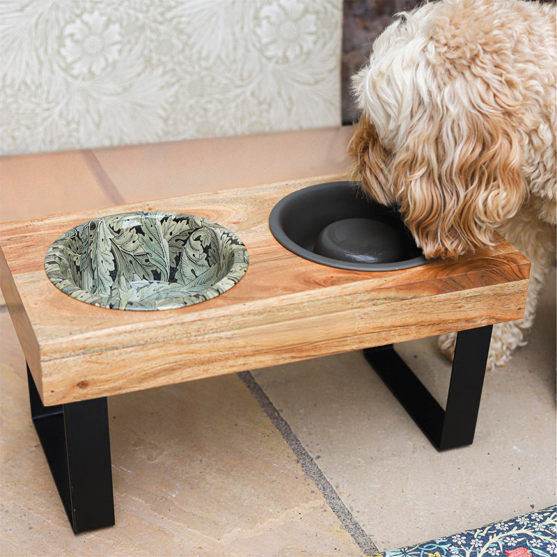 Anti-Skid Elevated Feeder
