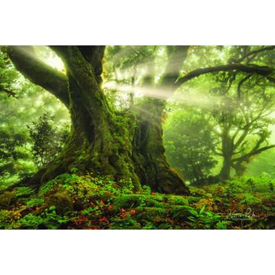 «One-Two Tree» par Martin Podt - impression sur toile tendue