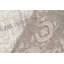 Neo Villa Floral Area Rug