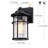 Anesicia Wall Light With Matte Black Finish-1930005563