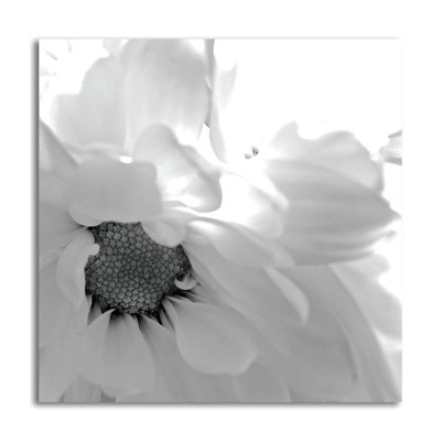 « fleuriing cascade ii bw », reproduction de photo