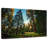 Alvord Sequoia Forest Scenery
