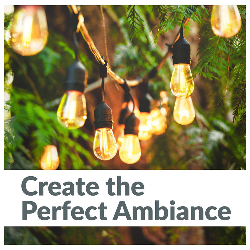 Outdoor 12 - Bulb 288'' Solar Powered String Light