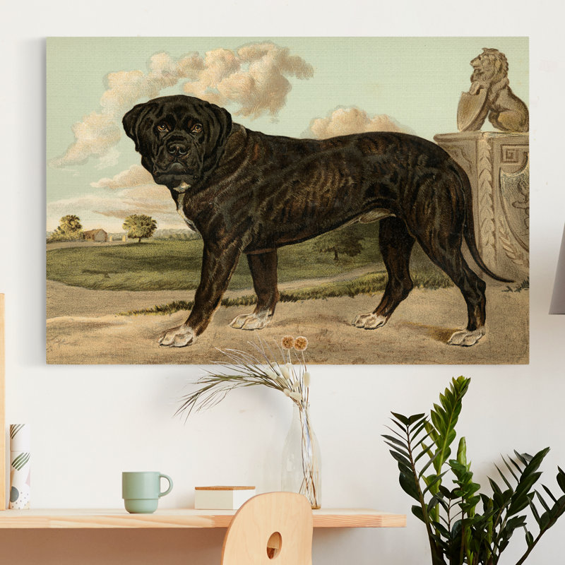 « Mastiff »-impression sur toile, H 12 po x l 8 po x P 1 po