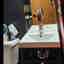Customer photo 2 of 4