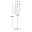 Boulder 9.13oz. Flute Set-87467888