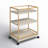 Ellie Bar Cart with Metal Outer Material-986371656