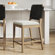 https://assets.wfcdn.com/im/48281811/scale-w55%5Ecompr-r85/2963/296365271/Black%2FGray+Mahogany.jpg