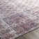 Dicken Washable Oriental Indoor Rug