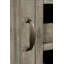 Calixta 60'' Solid Wood Sideboard