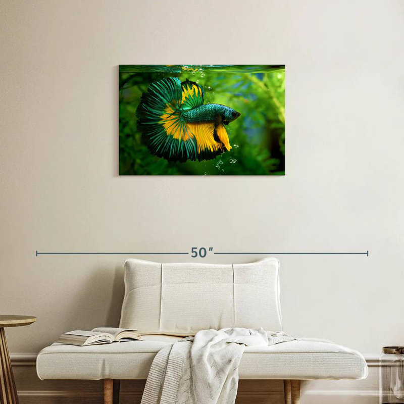 Brametta vert, jaune, poisson Betta, H 20 po x l 30 po