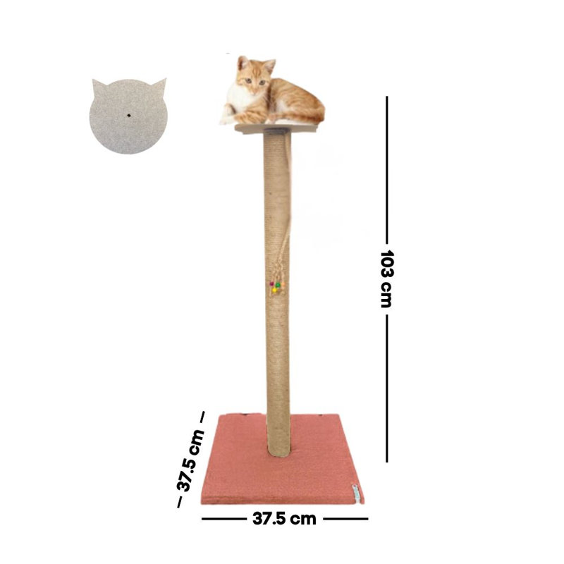 Grattoir pour chat, Corail