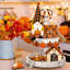 Ensemble de 12 plateaux d'automne