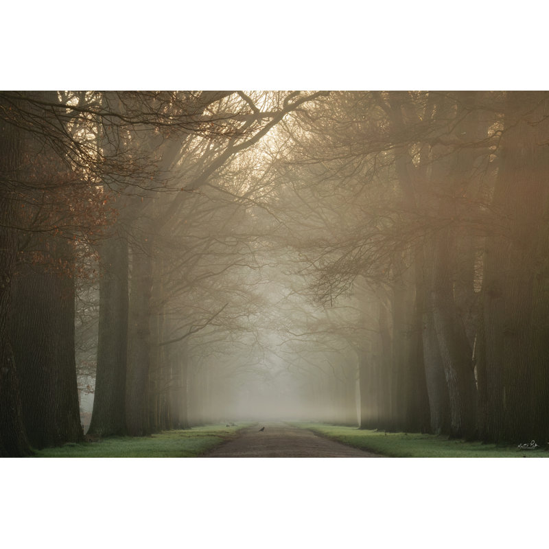 «On My Way» par Martin Podt, Cadre photo noir, Blanc, H 24 po x l 36 po