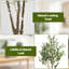 Faux Olive Tree Tree in Pot-1229231070