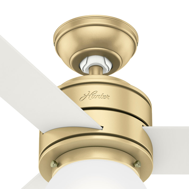 52" Allison 3 - Blade Standard Ceiling Fan with Lights and Remote