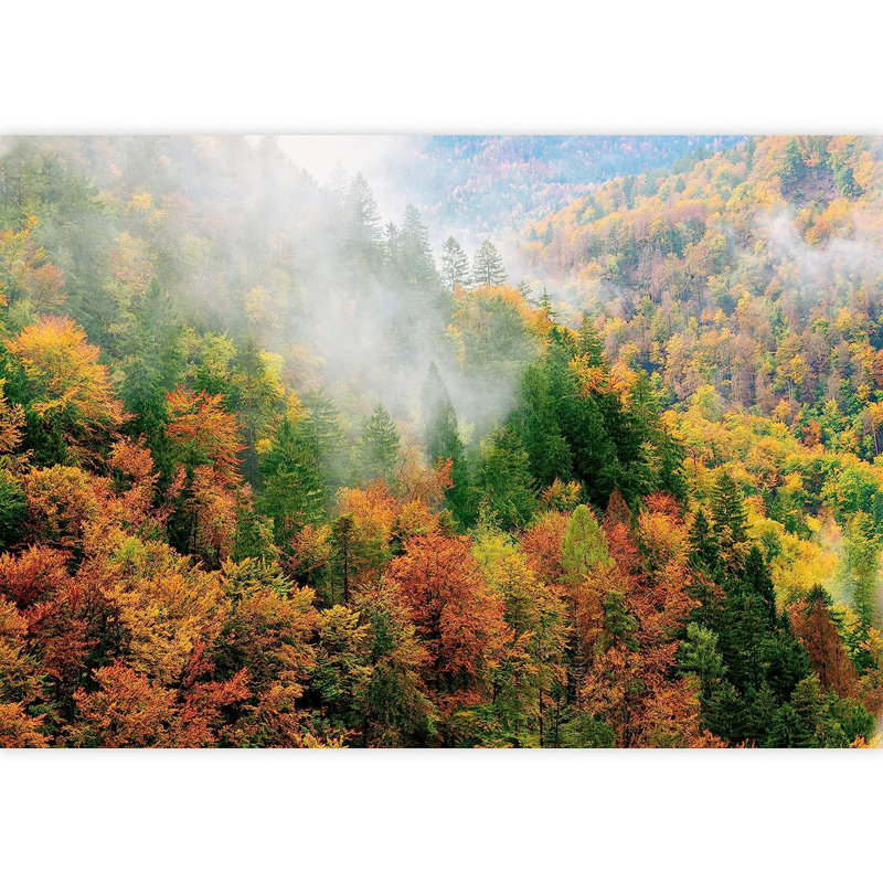 Aerial View Autumn Forest Tree, 66" L x 96" W