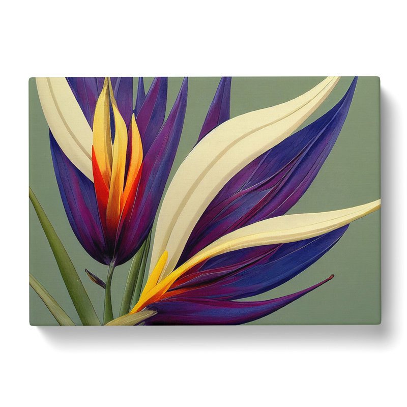 The Bird Of Paradise Flower Vol.1 - Wrapped Canvas, 35cm H x 50cm W x 3cm D