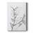 Charcoal Foliage -Gallery Wrapped Cavas-1891917301