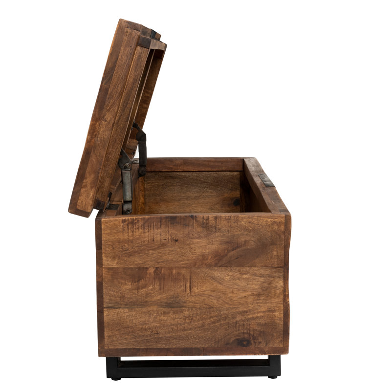 Zoe Storage Trunk