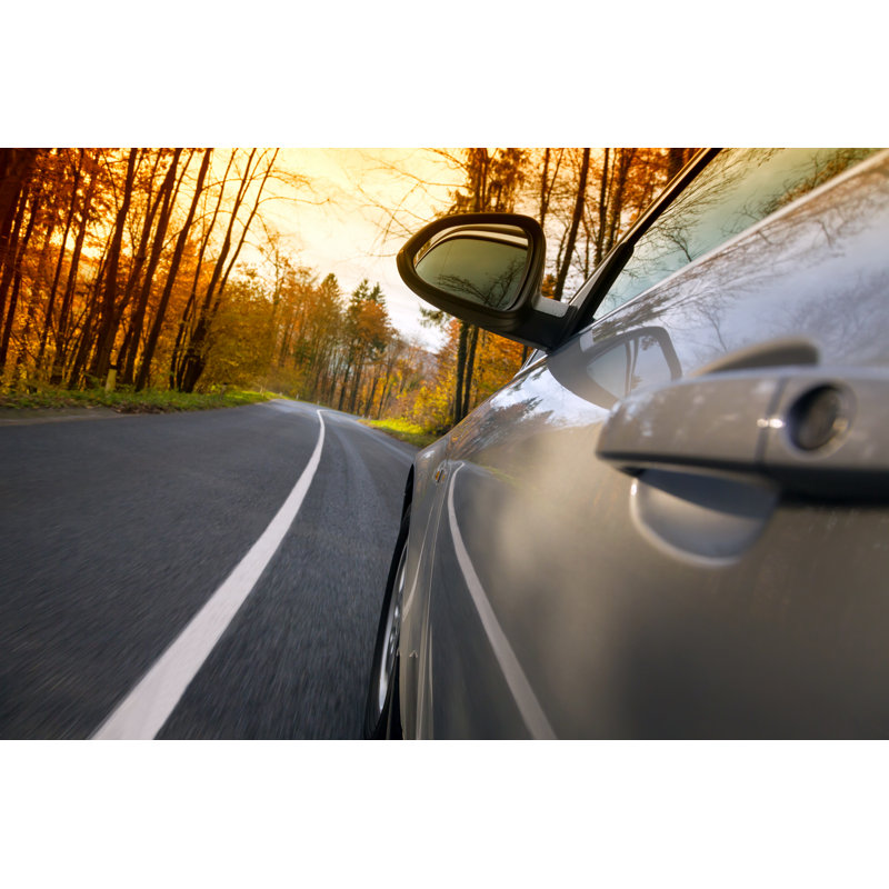 Voiture conduisant Forest Road par Alle12, H 32 po x l 48 po