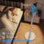 Floor Fan