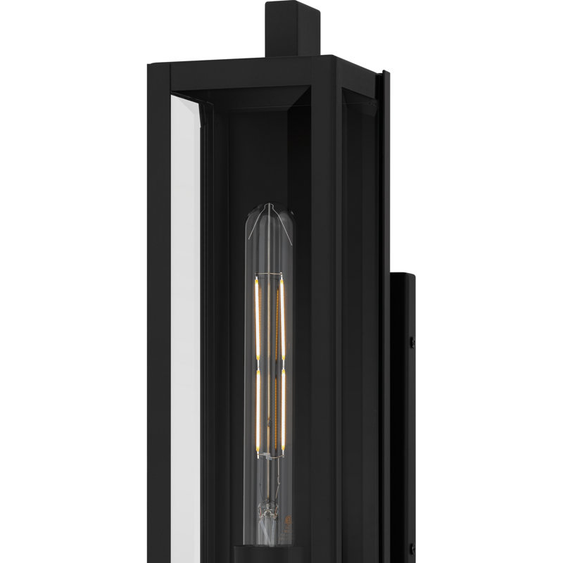 Dale 1-Light Matte Black Outdoor Wall Lantern, 20" H x 4.75" W x 5.75" D
