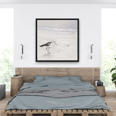 «Semipalmated Sandpiper» sur toile