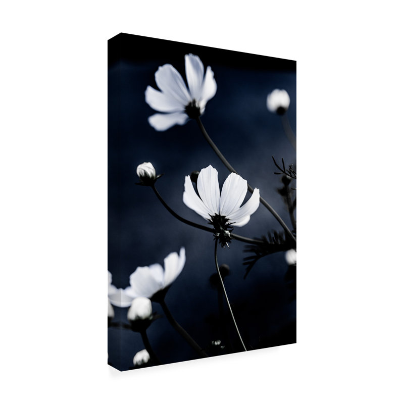 Art sur toile, jolies fleurs sauvages, H 19 po x l 12 po