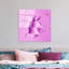 Boze Print on Glass