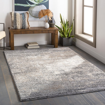 Tapis gris / gris anthracite Aderyn