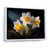 White Floater Framed
